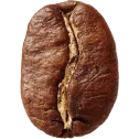 ترکیب اختصاصی
